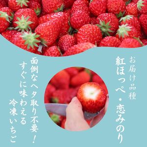 特別賞受賞！完熟 冷凍いちご BabyBerryFarm（3kg） 【 いちご 苺 いちご 静岡いちご いちご 冷凍いちご いちご 】