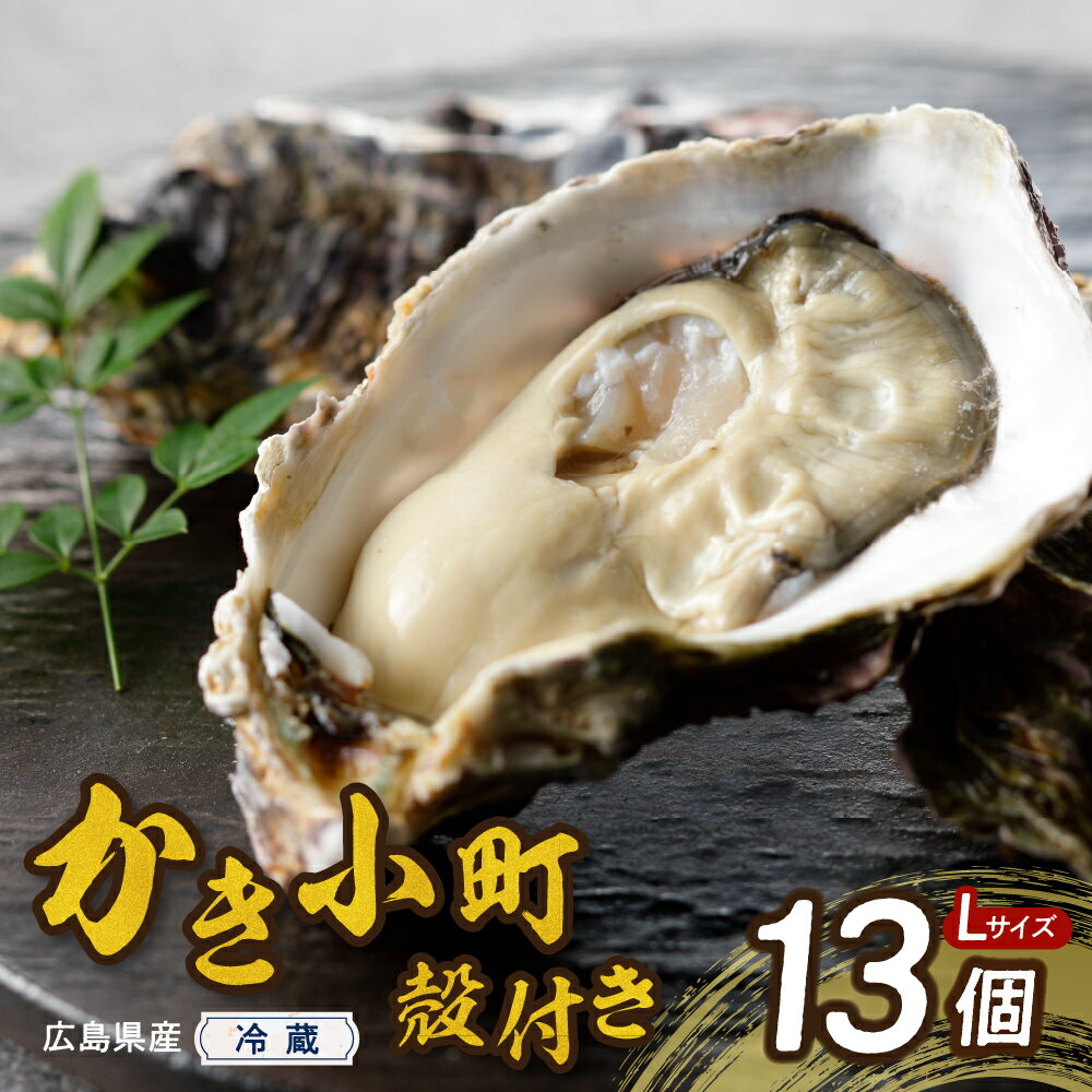 【ふるさと納税】先行予約【配送時期が選べる】高田水産 殻付 かき小町 13個 Lサイズ 発送時期が選べる 先行受付 大粒 カキ 牡蠣 殻付き 便利 アレンジいろいろ 簡単調理 産地直送 送料無料 お取り寄せグルメ 国産 情島産 瀬戸内 広島かき ご当地 広島県 呉市