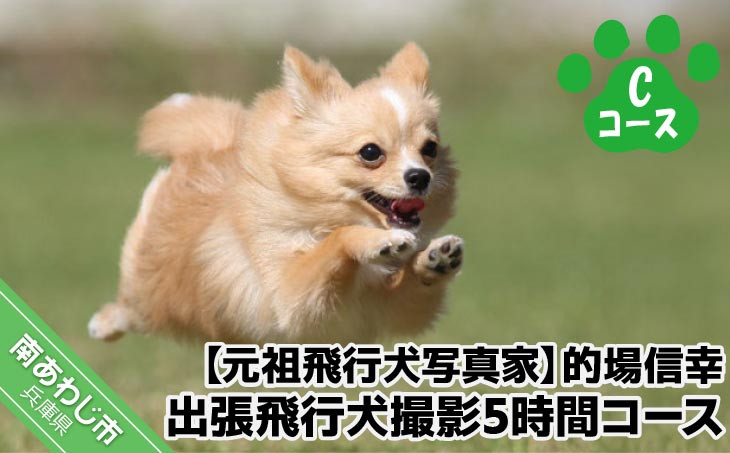 
Cコース　元祖飛行犬写真家　的場信幸　出張飛行犬撮影5時間コース
