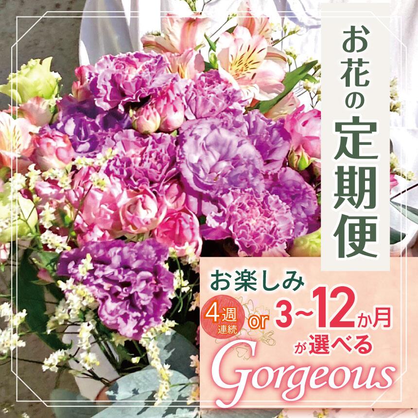【ふるさと納税】定期便 選べる回数 お楽しみ！ お花 「Gorgeous」 | ブーケ タイプ 高さ45cm-50cm 本数15-20本 flower フラワー ふらわー 花 はな リトルシード インテリア 植物 定期 お任せ お見舞い ギフト お祝い 誕生日 親孝行 プレゼント贈り物 新鮮 調布 東京都