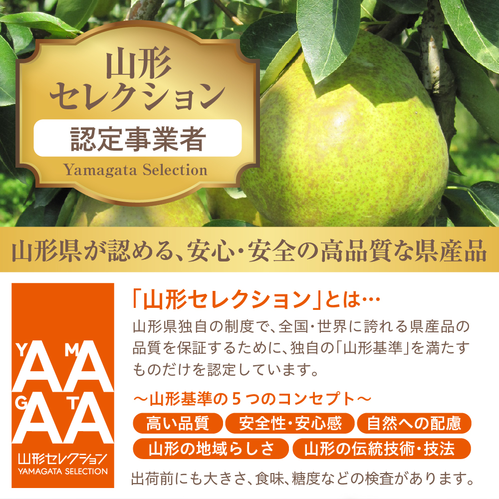 【令和7年産 先行予約】山形セレクション　ラ・フランス 3kg 山形県 東根市 hi069-009-2_イメージ2