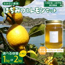 【ふるさと納税】【非加熱・純粋 はちみつ】百花蜜 150g / 600g ＆【栽培期間中防腐剤・農薬・ワックス不使用】レモン 1kg / 2kg セット 内容量が選べる / ハチミツ ハニー れもん 檸檬 果物 フルーツ 柑橘 常温配送 送料無料 広島県 呉市