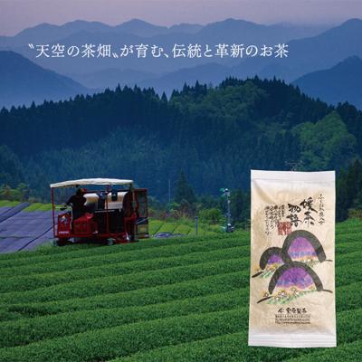 ふるさと納税 福智町 八女茶 栗原製茶 伝統本玉露「匠」100g