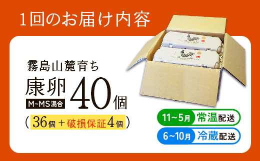 卵【12回 定期便】霧島山麓育ち こだわり卵 康卵 計40個（36個 + 割れ保証4個）12回 計 480個(432個 + 割れ保証 48個)たまご 玉子 卵焼き 玉子焼き たまご焼き 生卵 鶏卵 たまごかけごはん 国産 九州産 宮崎県産 送料無料