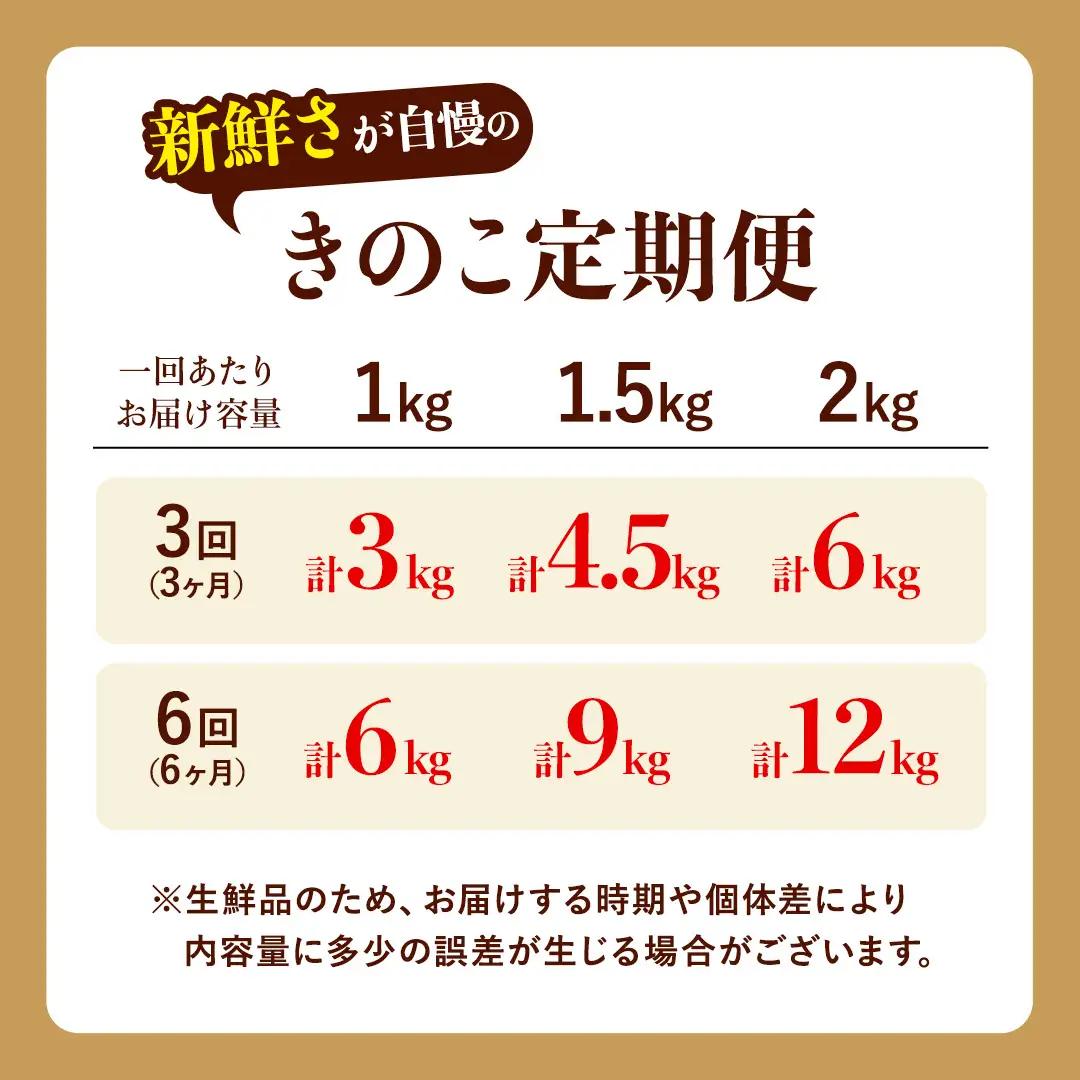 【 6ヶ月 隔月定期便 】 きのこ の 詰め合わせ Sサイズ 約1kg 大容量 キノコ 舞茸 あわび茸 たもぎ茸 しいたけ ぶなしめじ セット 鍋 炒め物 茨城県 城里町産 定期便 (AU010)