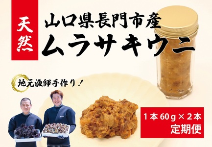 (1617) 【定期便】瓶詰めウニ 天然 ムラサキウニ 2本セット 毎月発送 全3回 60g×6本 合計360g 長門市