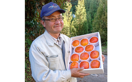 国城観光農園の富有柿11～12個(3～4L)_柿　富有柿　橋本市産柿　甘柿_【1077106】