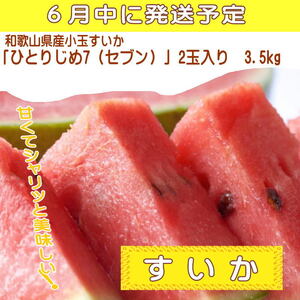 【定期便】夏をお届け！フルーツ定期便！小玉すいか・桃・ピオーネ（全3回）/ フルーツ 果物 すいか ひとりじめ7 もも モモ ぶどう ブドウ  旬 定期便  【tkb345】