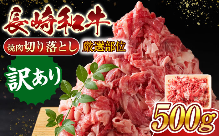 
【訳あり】【A4～A5】長崎和牛焼肉切り落とし(肩ロース・バラ）　500g【株式会社 MEAT PLUS】 [QBS003]
