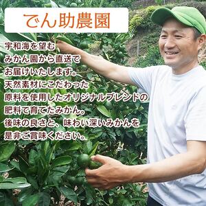 ＜定期便3回 でん助農園の温州みかんリレー 家庭用 合計約30kg＞ 果物 フルーツ ミカン オレンジ 柑橘類 極早生 早生 中生 南柑20号 自宅用 国産 特産品 食べて応援 産地直送 西宇和産 愛