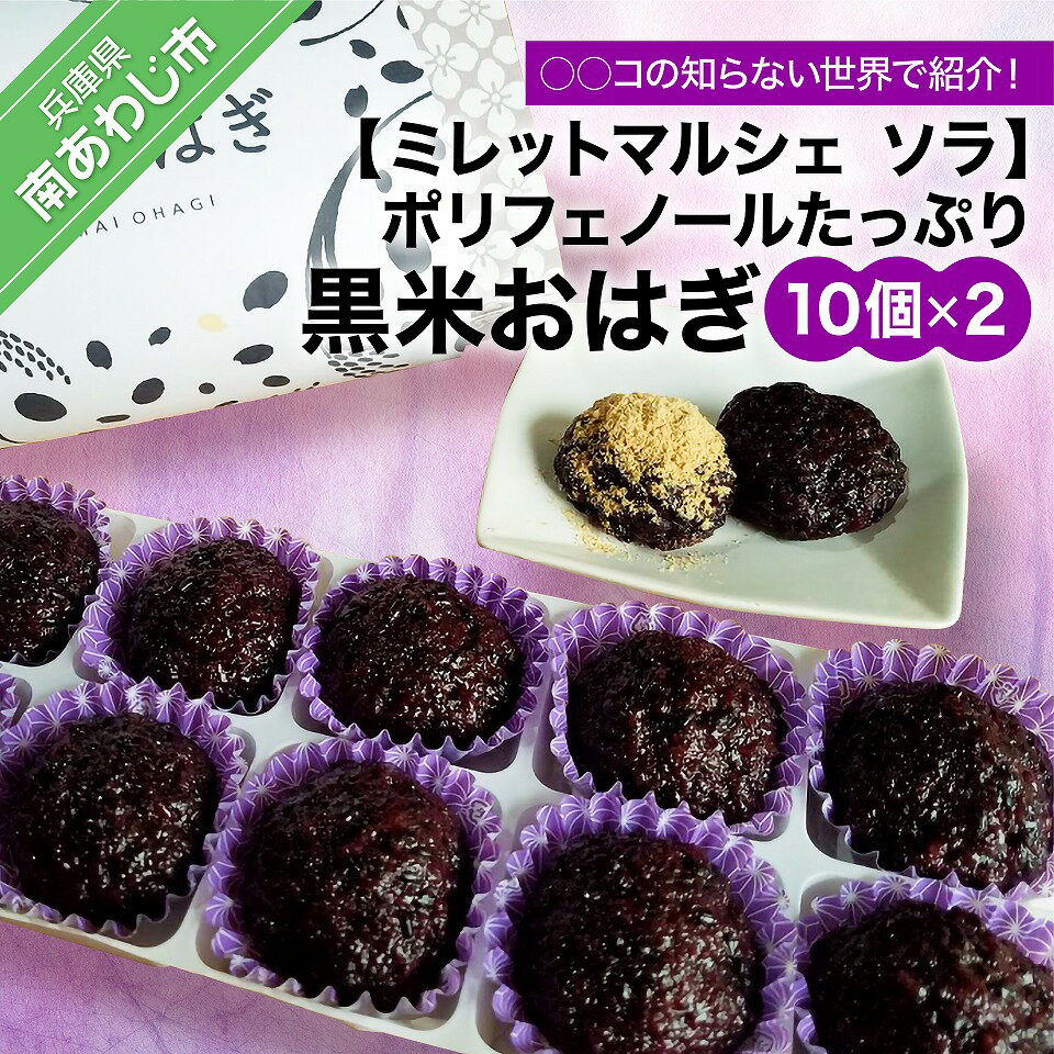 【ふるさと納税】【淡路島 ミレットマルシェ ソラ】○○コの知らない世界で紹介！ポリフェノールたっぷり　黒米おはぎ