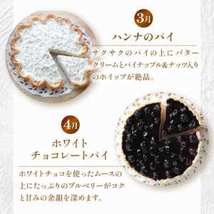 季節の ケーキ おまかせ 1種 手作り ケーキ デザート スイーツ 洋菓子 おやつ ギフト 贈り物 絶品 サンフランシスコパイハウス 静岡県 牧之原市