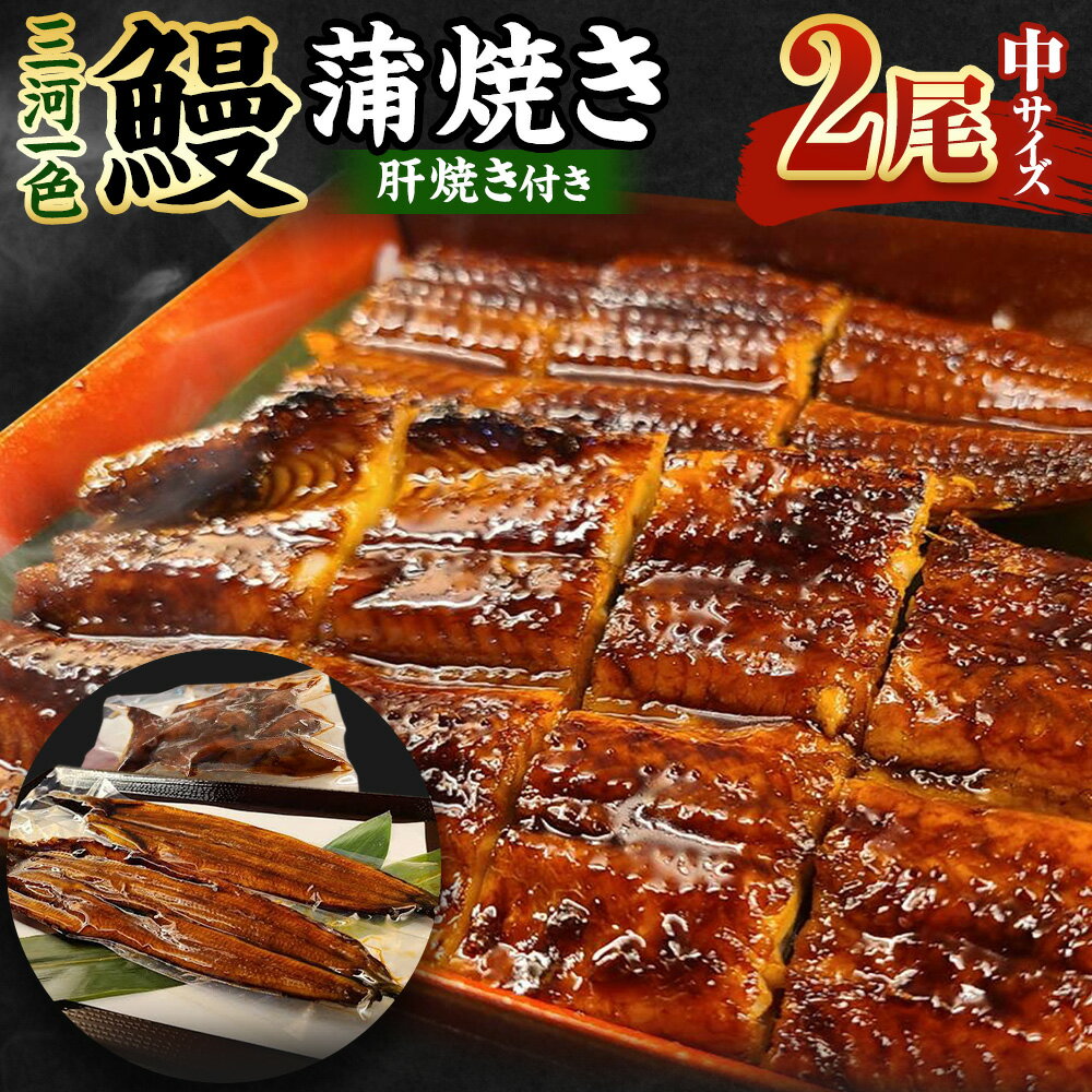 【ふるさと納税】三河一色産 うなぎ蒲焼き 中2尾 うなぎ かば焼き 肝焼き タレ付き セット お魚 湯煎 レンジ 惣菜 簡単調理 冷凍 幸田町 送料無料