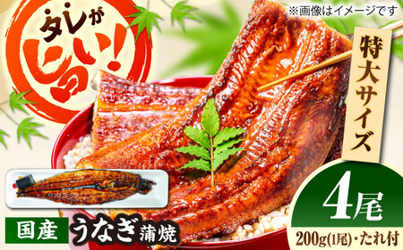 国産活うなぎ蒲焼（4本入）[AICQ010]
