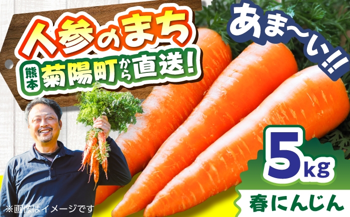 
                  菊陽春にんじん 秀品 5kg / にんじん アロマレッド 翔彩 菊陽にんじん 西洋にんじん ニンジン 人参 野菜 熊本 菊陽 【マツモト：ファーム】 [BHDH002]
                