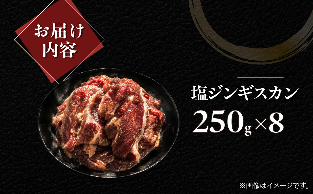 塩ジンギスカン250g×8 MROA233