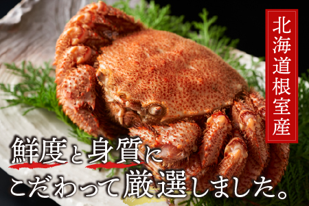 【北海道根室産】毛がに450g前後×1尾 A-21006