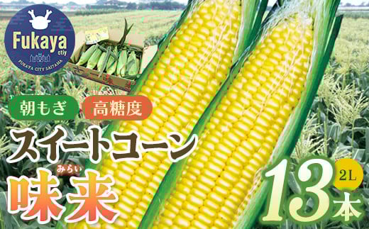
            フルーツみたいなスイートコーン【味来（みらい）】13本　【11218-0140】
          
