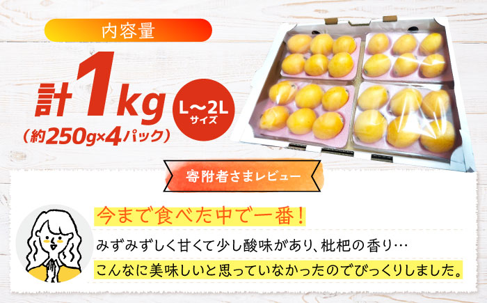 【数量限定】【先行予約】 びわ 琵琶 西海市産 約1kg L～2Lサイズ＜パッパラパー農園＞ [CFI002]