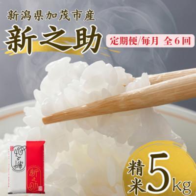 ふるさと納税 加茂市 【発送月固定定期便】新之助　精米5kg　2026年10月上旬より順次発送全6回