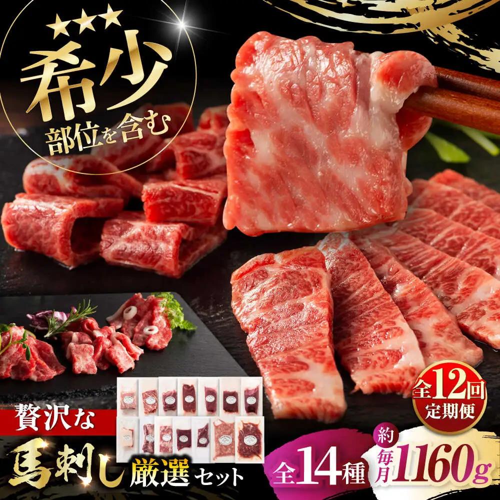 12回定期 希少部位と贅沢なふじ馬刺し厳選セット 3897 BHAD086 希少部位