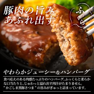 a563 「かごしま黒豚さつま」デミグラスハンバーグ1.5kg(150g×10パック)鹿児島県産黒豚「かごしま黒豚さつま」の豚肉をしっとり焼き上げました【AKR Food Company】