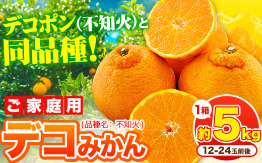 デコポン ( 不知火 )と同品種！デコみかん 熊本県産 (津奈木町産含む) 訳あり 約5kg前後(12-24玉前後) 柑橘《2月中旬-4月末頃出荷》 みかん フルーツ 不知火 先行予約 訳あり 訳アリ ご家庭用 でこみかん 果物 予約受付