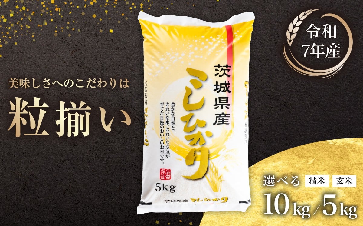 
                  【最短7日発送】〔選べる容量・精米/玄米〕コシヒカリ 5kg 10kg 茨城県下妻市産 【 お米 米 白米 玄米 ご飯 こめ コシヒカリ 令和7年産 茨城県産 】
                