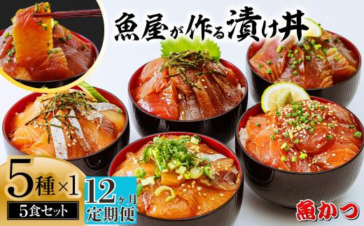 【12ヶ月 定期便】漬け丼 5種×1パック 計5食セット  | 漬け丼 定期便 海鮮 惣菜 冷凍 真空パック 小分け 海鮮丼 海鮮セット 詰め合わせ 旬の鮮魚 ハマチ カンパチ カツオ 鯖 サバ ヒラマサ 平政 マグロ アジ ヒラメ 鯛 漬け づけ丼 お茶漬け ごはん 山口県 宇部市