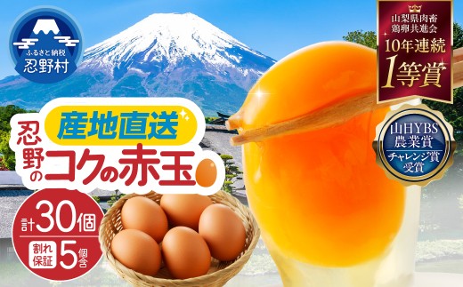 富士山の麓で育った産地直送 ”忍野の卵”※卵25個+割れ保証5個　計30個