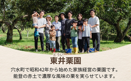 【先行予約】東井栗園の能登熟成栗（生栗） 1.5kg（4Lサイズ） ～能登の大地で育った能登栗～【2025年10月中旬以降順次発送】/  能登半島 奥能登 くり 生栗 マロン 和栗 焼き栗 栗ごはん 