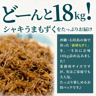 ふるさと納税 石垣市 石垣島産・塩もずく(業務用一斗缶・18kg) |  | 01