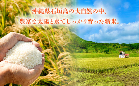 【石垣島産】日本最南端の日本一早い新米（清兵衛）2kg×2袋  TN-01