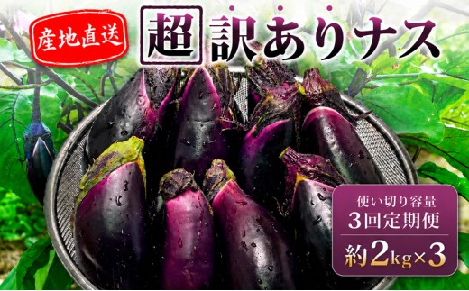 【先行受付】 【3回定期】 安田町産 「超」 訳あり ナス なす なすび 2kg×3回 定期便 新鮮 野菜 茄子 産地直送 季節限定 夏野菜 ふるさと納税茄子 ふるさと納税なすお漬物 漬物 味噌汁 みそ汁 マーボーナス 麻婆ナス 麻婆茄子 煮びたし 天ぷら フライ はさみ揚げ 煮浸し 焼なす やきなす 焼きナス わけあり 傷 きず 不揃い B級品 伏流水 高知 安田町 安田川 YM2100_26