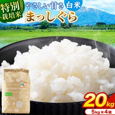 ふるさと納税 弘前市 米【特別栽培米】まっしぐら 白米 20kg(5kg×4袋)令和7年産|24_mft-072001