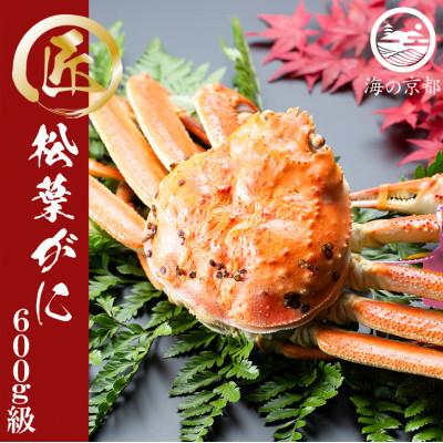 ふるさと納税 宮津市 茹で松葉蟹　1杯(600g級)