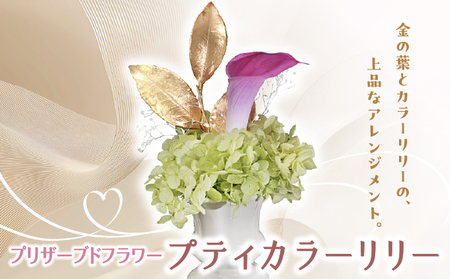 プリザーブドフラワー ギフト プティカラーリリー 【花 フラワー 天然 国産 ギフト プレゼント 記念日 お祝い プチギフト 贈り物 お花 水かえ不要 枯れない プリザーブドフラワー】