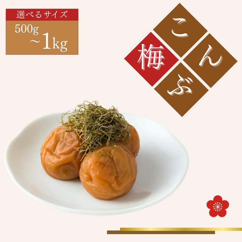 【ふるさと納税】 ご家庭用梅干し　こんぶ梅　500g・1kg / みなべ町 梅干 うめぼし ウメ 昆布梅 こんぶ漬け 家庭用 紀州南高梅 南高梅 簡易包装 お弁当 おにぎり