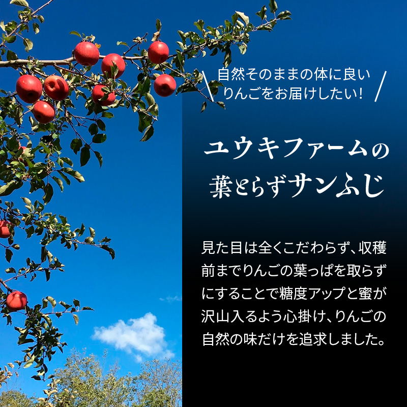 りんご 【 数量限定 】1月発送 雪完熟 自然 葉とらず  糖度13度以上 家庭用 サンふじ 約 5kg 20～23個【 弘前市産 青森りんご 】