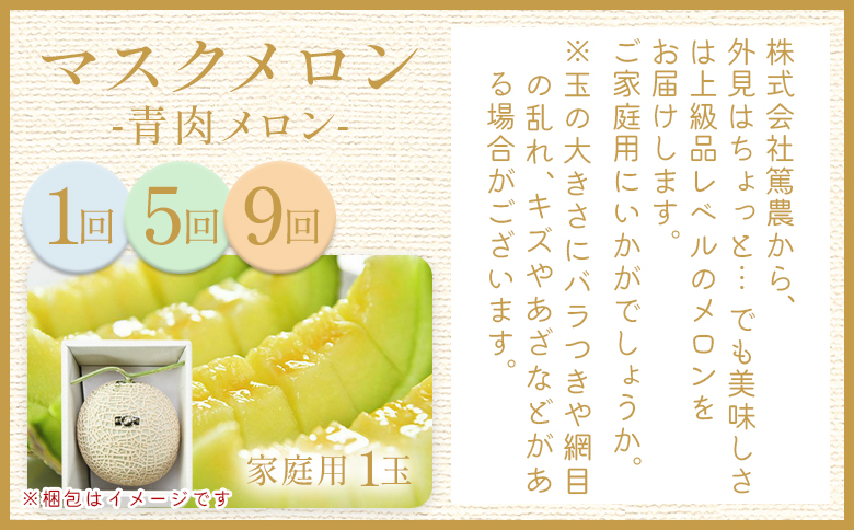 【12回定期便】メロン堪能定期便 - 国産 マスクメロン 完熟 赤肉 青肉 家庭用 フルーツ 果物 ピューレ シャーベット 飲み物 飲料 フルーツジュース 篤農 高知県 香南市 常温 冷凍 Wtn-0