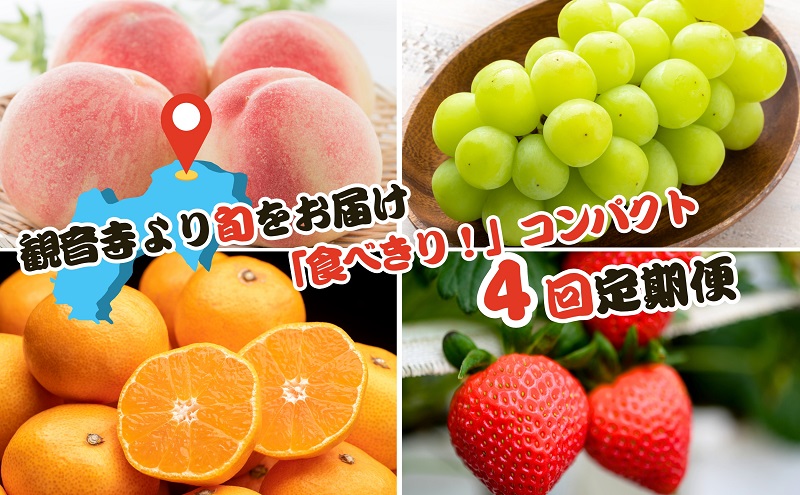 【2026年受付】ご家庭用 食べきり 旬果フルーツ定期便 全4回（ さぬきひめ苺 約500g（約250g×2パック）、桃 約1.8kg（5～9玉） 、シャインマスカット 約550g（1房） 、温州みかん 約3kg（L～Sサイズ））