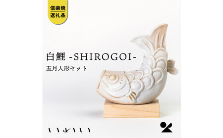 【信楽焼・明山】いわい　白鯉ーSHIROGOIー　五月人形セット　 iwai-k07