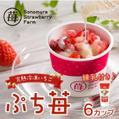 ふるさと納税 宇土市 熊本県宇土産 完熟冷凍いちご「ぷち苺」6カップ 練乳付き 園村苺園