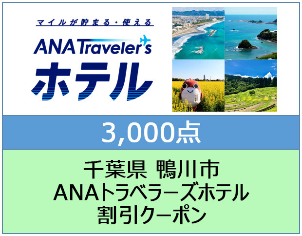 千葉県 鴨川市 ANAトラベラーズホテル割引クーポン 3,000点分