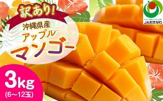 ＜2025年発送予定・訳あり＞アップルマンゴー3.0kg(6～12玉)_ マンゴー フルーツ 果物 くだもの アップルマンゴー 人気 おすすめ 送料無料 訳あり 数量限定 期間限定 傷 規格外 完熟 沖縄県 冷蔵 【1494041】