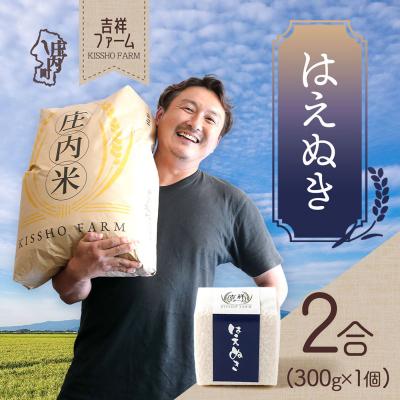 ふるさと納税 庄内町 吉祥ファーム 2合キューブ×1個 はえぬき 300g 無洗米 令和7年産 2025年産 ブランド米