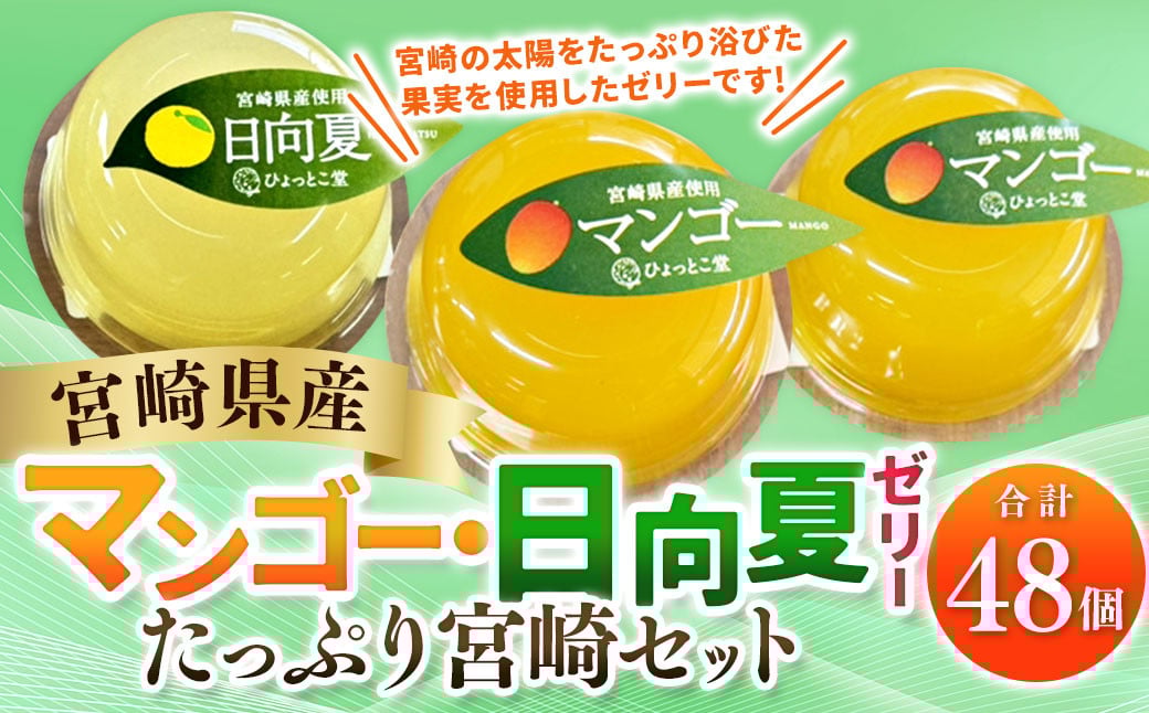 ＜宮崎県産マンゴーゼリー・日向夏ゼリー 合計48個セット＞翌月末迄に順次出荷