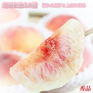 〈定期便〉魚鶴商店のフルーツ定期便（紀州デコ・桃・富有柿）【発送月固定 定期便 全3回】※離島への配送不可