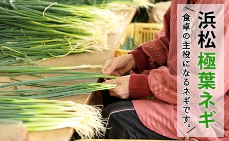 おとなりさんち厳選！浜松から鮮度抜群！旬の野菜BOX【定期便12か月分】【配送不可：沖縄・離島】