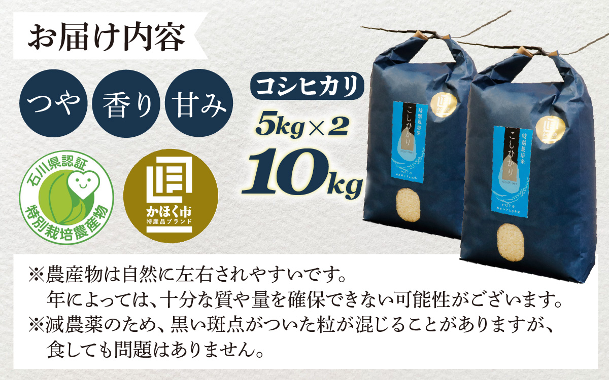 【先行予約】こしひかり 10kg【2027年3月発送】｜ コシヒカリ お米